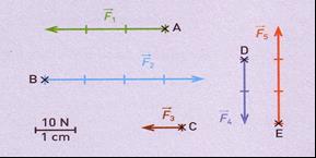 3. Considera as forças indicadas na figura: 3.1. Indica duas forças com o mesmo sentido. 3.2. Indica duas forças com a mesma direcção mas sentidos opostos. 3.3. Indica duas forças com a mesma intensidade.