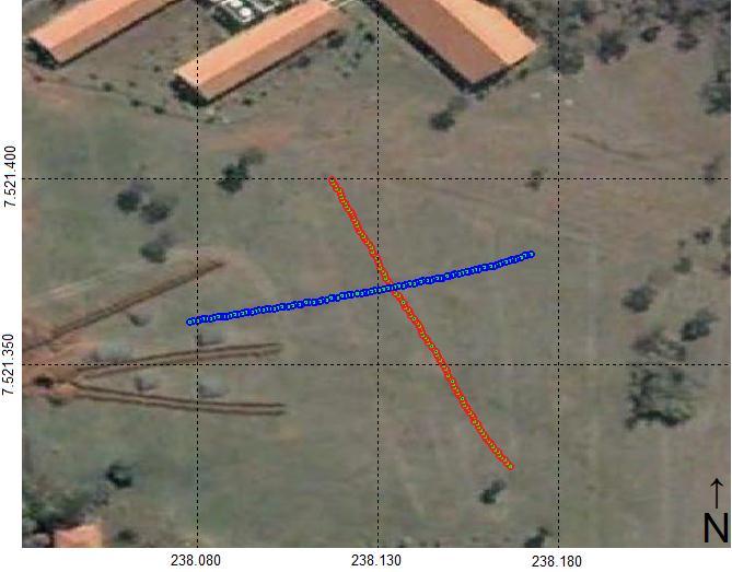 Figura 2. Área estudada com as transectas de pontos amostrais: horizontal, em vermelho, e perpendicular, em azul.
