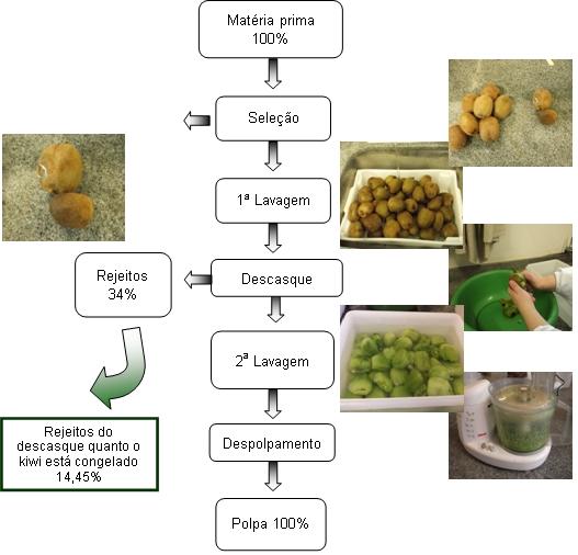 310. CONEX Apresentação Oral Resumo Expandido Figura 1 - Etapas do processo para obtenção de polpa de kiwi.
