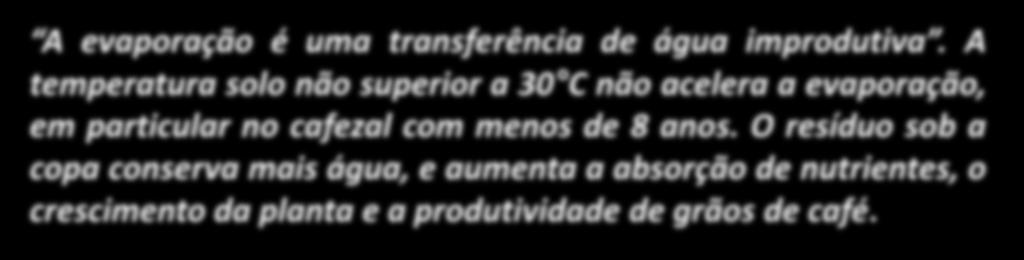 Consórcio café com braquiária Reduz a temperatura solo e a