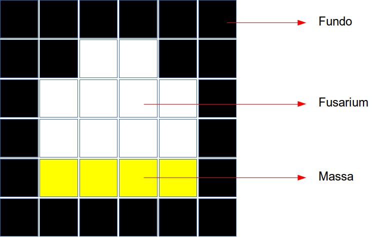 Figura 4: Modelo semente classe I Figura 5: Modelo semente classe III Figura 6: Modelo semente classe V As imagens modelos geradas além da resolução de 6x6 pixel são compostas por 4 cores RGB, preta