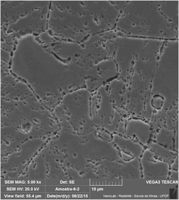 Figura 15 - Imagem obtida para o aço ferrítico 410D, solubilizado a 1000 C, por 1 hora, seguido de resfriamento em água, e sensitizado a 700 C por 1 hora e resfriado ao ar.