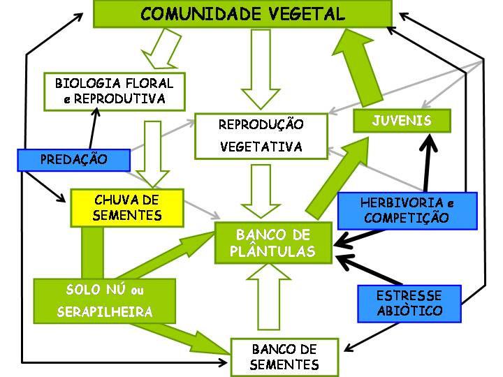 Há pesquisas por