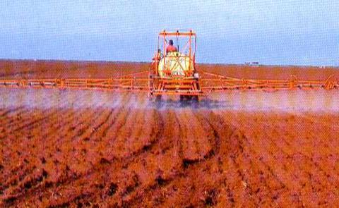 até 6 h após Áreas com alta infestação de gramíneas,