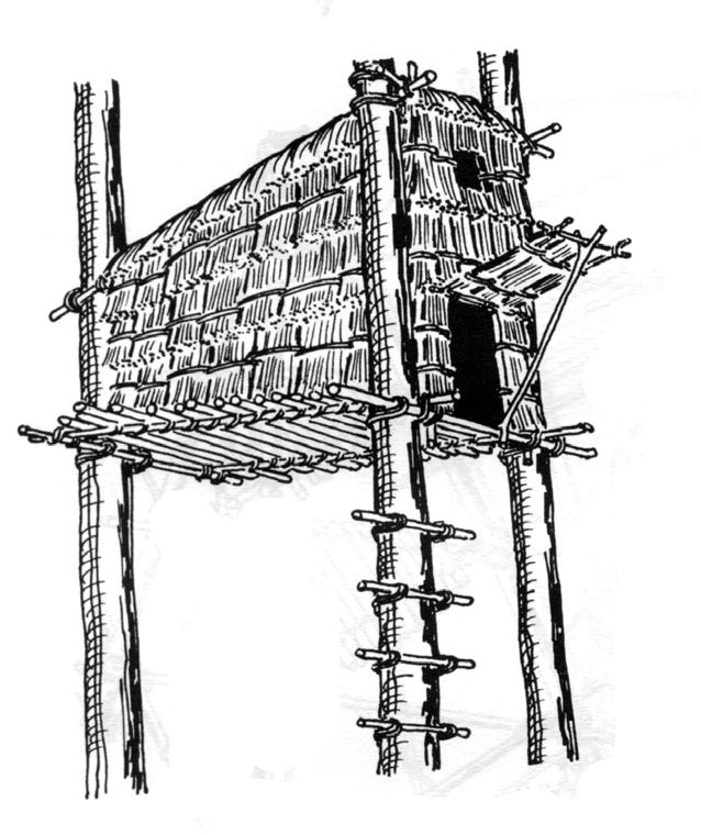 As construções aéreas feitas por gosto ou necessidade de sobrevivência, além de ser um refúgio seguro em locais temperados ou quentes, porque se isola a umidade e se