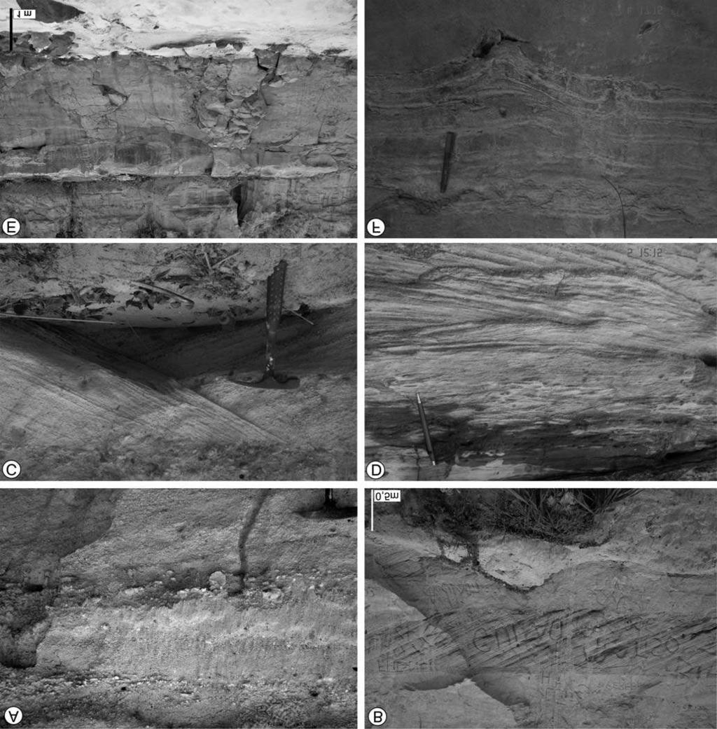 Anderson Conceição Mendes et al. Figura 5 - Litofácies identifi cadas da Formação Alter do Chão, Óbidos - PA.