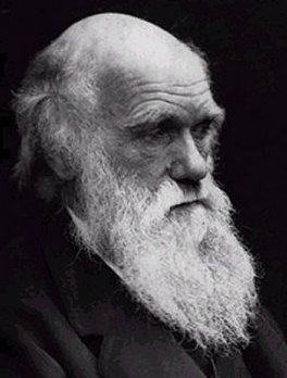 Charles Darwin (1809 1882) - Publicou em 1859 o livro Origem das Espécies, no