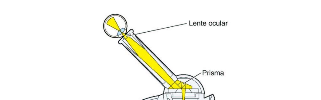 MICROSCOPIA DE LUZ Microscópio óptico descobrimento das células e a elaboração da teoria de que todos os seres vivos