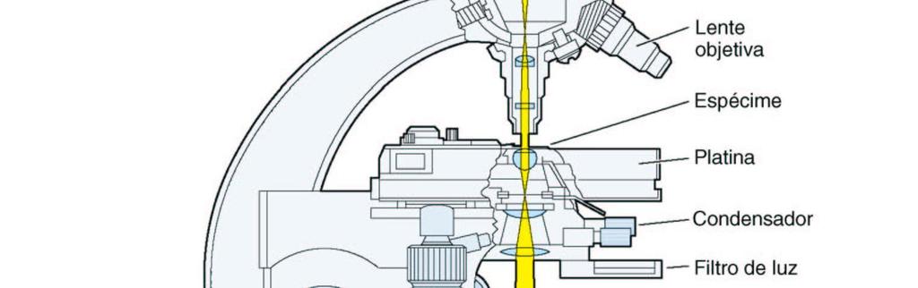 Composto por partes mecânicas e ópticas Componente óptico consiste em três sistemas de lentes: condensadora,