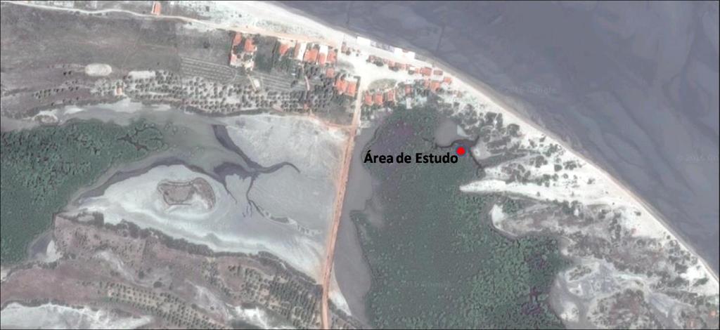 2 METODOLOGIA 2.1 Área de estudo O presente trabalho foi realizado em um Canal de Maré que localiza-se na região de Arpoeiras, compondo um sistema estuarino de manguezal.