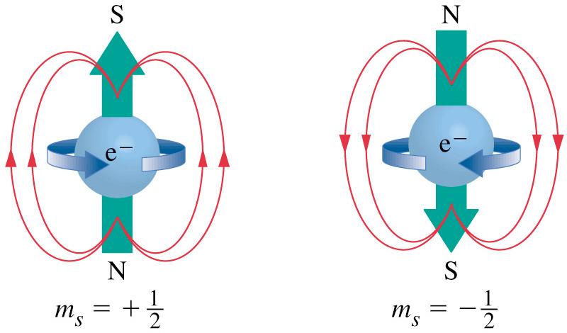 SPIN. O spin é uma propriedade intrínsica das