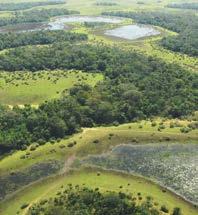WWF-Brasil / Márcio Duarte (m10 design) Embrapa Pantanal