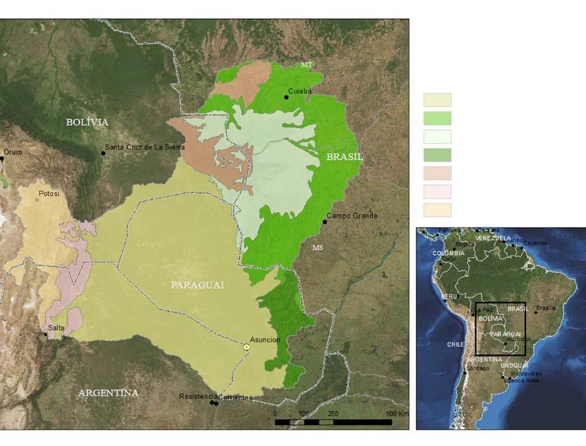 Ecorregiões Chaco Cerrado Pantanal Floresta Atlântica Floresta Chiquitana Yungas Andinas Ecossistemas Andinos O