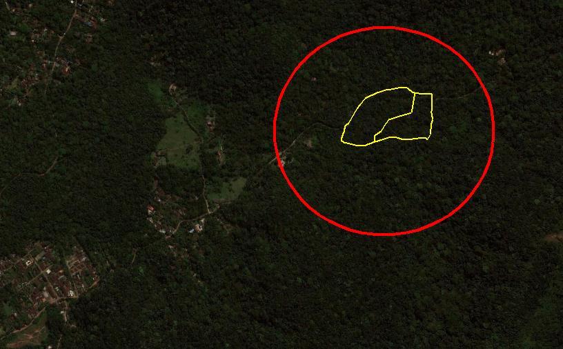 Figura 10 Imagem GEO-EYE do dia 01 de outubro de 2009 mostra dentro dos limites da propriedade (linha amarela) toda a área coberta por vegetação nativa.