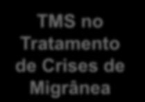 2010 TMS no