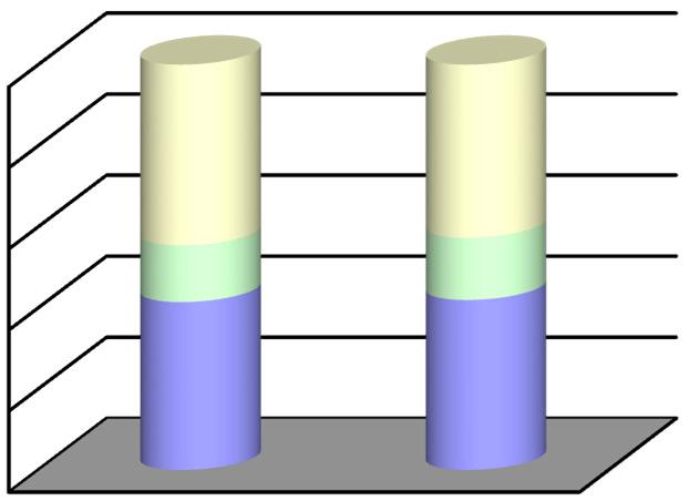 FUNDO ESCOLAR DA ESCOLA BÁSICA E SECUNDÁRIA TOMÁS DE BORBA GRÁFICO 4-2 EVOLUÇÃO DO ATIVO -69,21% -40,79% -1,73% ACD DIS EXIST DCP IMO -80% -60% -40% -20% 0% Relativamente ao exercício anterior, o