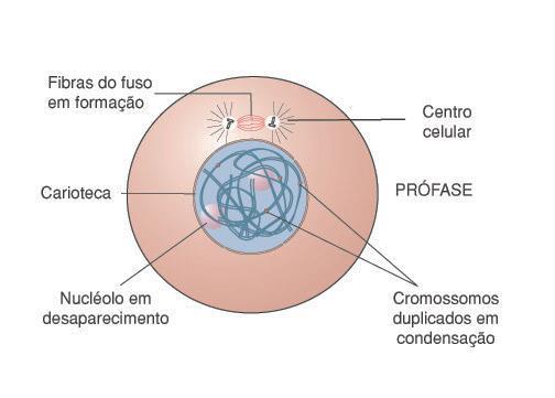 para a