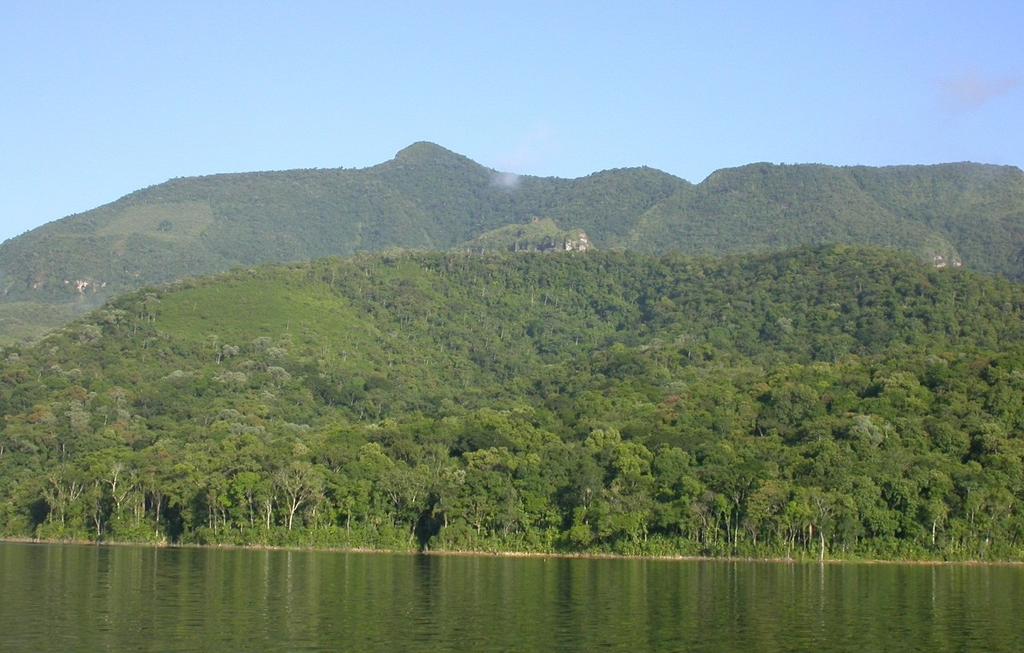18 Figura 1.3: Vista externa do remanescente estudado de Floresta Ombrófila Densa Submontana no entorno da Barragem do rio São Bento, Siderópolis, SC.