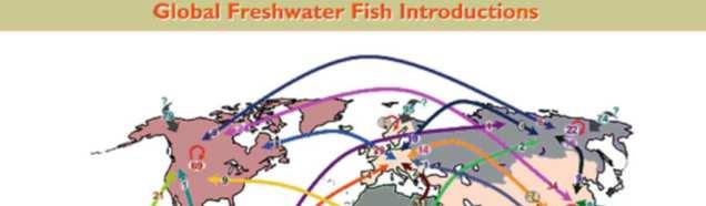 Histórico de introduções de peixes 49 Introduções no