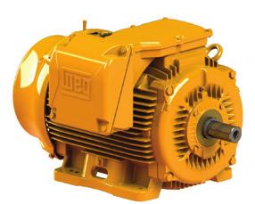 WELL - Plus Motor de indução trifásico fechado para uso em aplicações industriais severas.