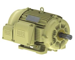 W22Xtb - Plus Motor de indução trifásico fechado para atmosferas explosivas, do tipo Proteção por Invólucro (Ex tb).