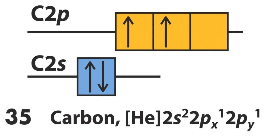 Exemplo: Carbono O átomo de carbono tem dois orbitais 2p semi-cheios (e o 1s, cheio, e o 3 o 2p, vazio).