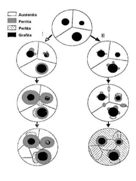 33 Figura 10 Modelos de transformação eutetóide: (I) nucleação da perlita na interface ; (II) nucleação da perlita em e Gr.