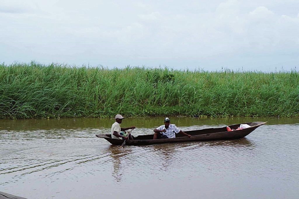 Fotografia 6 A canoa cargueira Um remador levando um