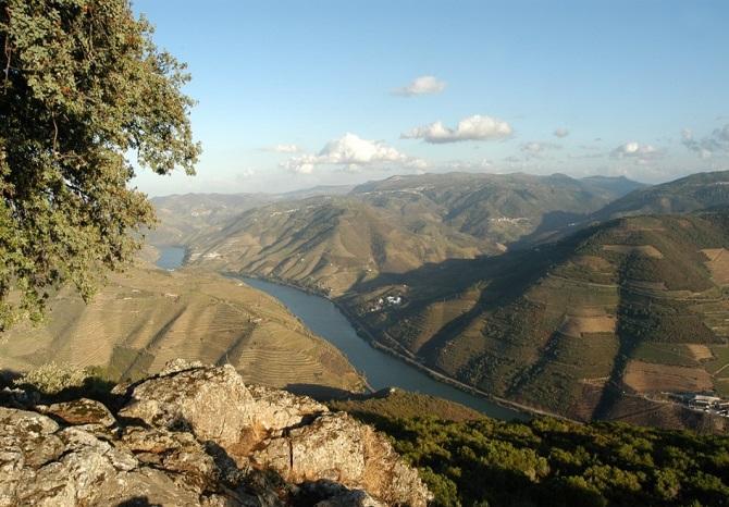 4.1. Território, Cidades e Ruralidade Por sua vez, a sociedade no seu conjunto (cada vez mais urbana) passou a dissociar a paisagem das atividades produtivas que a suporta.