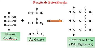 Triglicerídeos (triacilgliceróis) Óleos e gorduras Éster de ácido graxo e glicerol Disponível em: <http://4.bp.