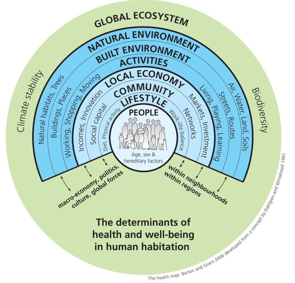 Há uma versão de Barton e Grant (2006) que introduz um aspecto externo de um ecossistema global que inclui