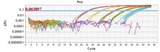 5.1. Validação dos ensaios de PCR em tempo real A seguir estão registrados os resultados obtidos dos testes para avaliação da eficiência dos protocolos de PCR em tempo real para Rickettsia spp.