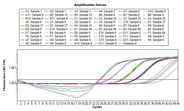 Na Figura 8 observa-se a curva de concentração decrescente para o protocolo de PCR em tempo real OmpA-SYBR utilizando como template DNA de Rickettsia rickettsii extraído de co-cultivo de células Vero.