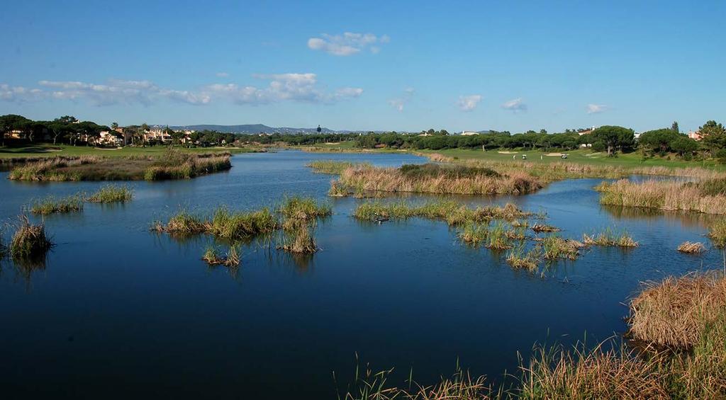 Lagoa de São Lourenço, uma das áreas de atuação de Portugal As espécies alvo do projeto