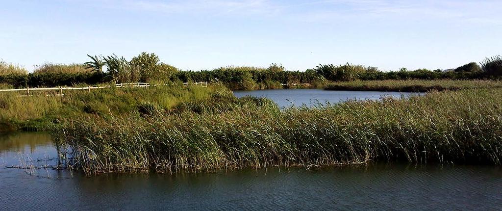 RESULTADOS OBTIDOS Presa de Penyetes, Tavernes de Valldigna, Valencia, Comunidade Valenciana Entre os resultados obtidos destacam-se os seguintes: Medidas legais Em Portugal