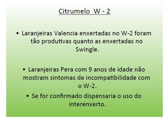 sintomas de incompatibilidade