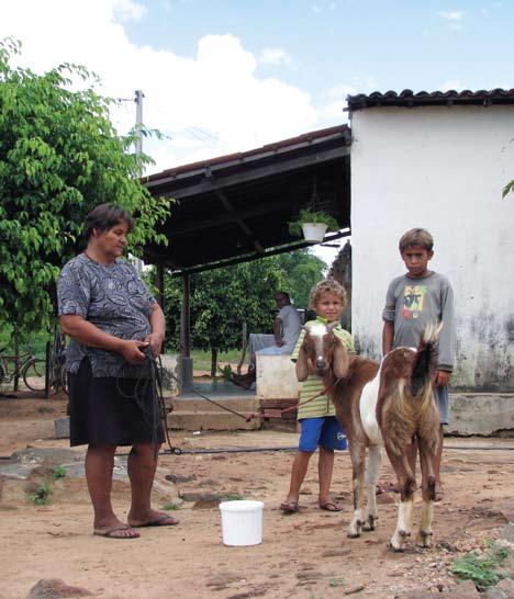 A integração da criação animal com cultivos em assentamentos rurais no semiárido brasileiro Edisio Oliveira de Azevedo, Francisco Roserlândio Botão Nogueira e Carlos Magno de Medeiros Morais A