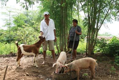 Foto: Fernando Zanella À esquerda e acima: um criatório diversificado de pequenos animais é mantido no terreno da agrovila e equipamentos que até então não faziam parte da cultura produtiva das