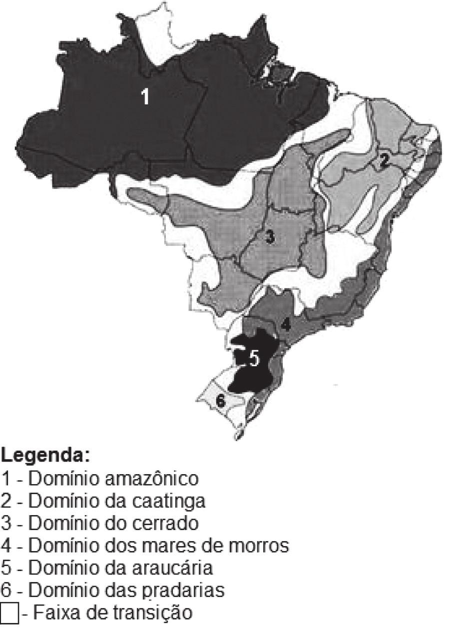 A paisagem representada na imagem ocorre no domínio A) da Caatinga. B) da Amazônia. C) da Mata Atlântica. D) do Cerrado. E) do Pampa.