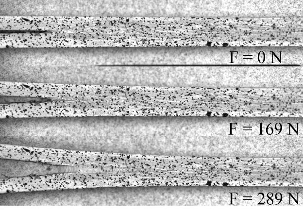 O espécime foi pulverizado com tinta preta em sua lateral para obter um padrão de manchas aleatório, para poder realizar o procedimento da correlação de imagens (Fig. 2). Fig. 3.