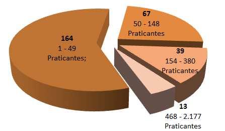 Um reduzido conjunto de 13 instituições enquadra entre 468 e 2 177 praticantes, totalizando 13 822, cerca de 43% do total de praticantes, das quais 11 são clubes desportivos com mais praticantes