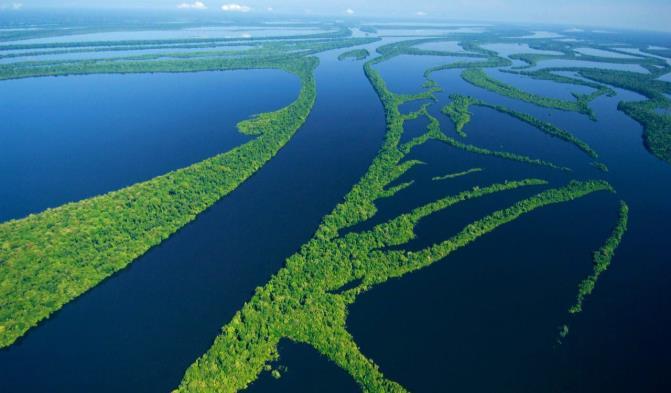 Arquipélago de Anavilhanas O Arquipélago Fluvial de Anavilhanas é um dos maiores do mundo, hoje protegido como Parque