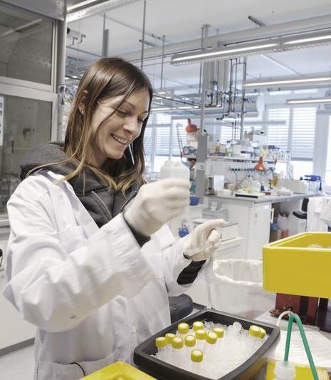 Biotecnologia Cluster altamente inovador Densidade de empresas sem igual no mundo clusters de biotecnologia encontrados em 4 regiões.