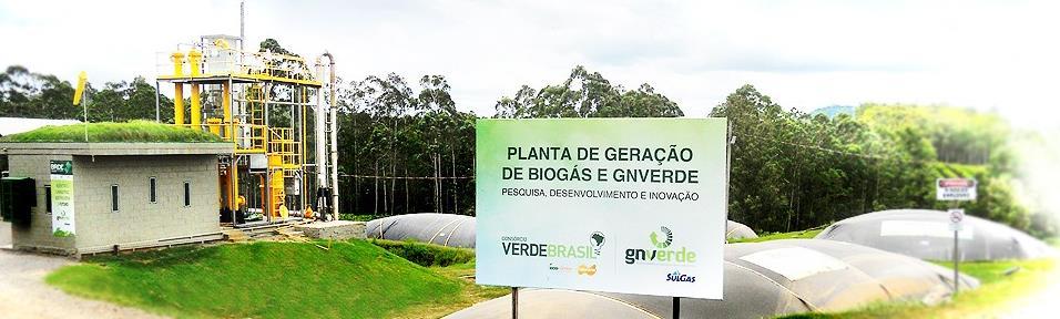 Cases do RS COOPERATIVA ECOCITRUS CONSÓRCIO VERDE BRASIL Reatores modelo lagoa