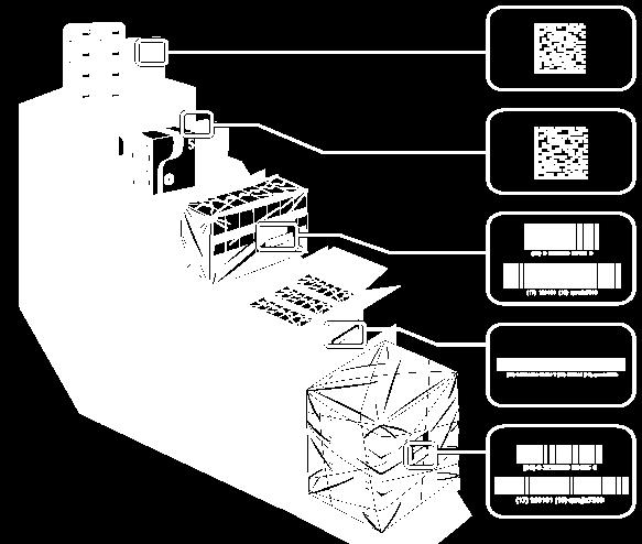 Abrangência da identificação e codificação para Rastreabilidade Embalagem Primária GS1-DataMatrix GTIN+ Lote e Validade Secundária GS1-DataMatrix