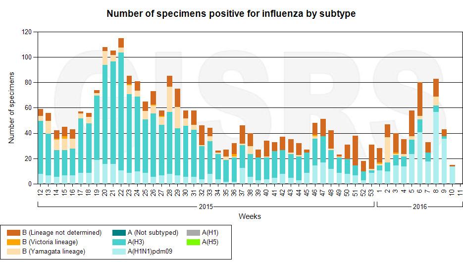 Influenza no Mundo-