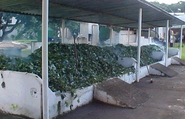 Secagem e armazenagem de Produtos Agrícolas estocagem. O feno originário de plantas em estádio inicial de desenvolvimento deverá ser armazenado com menor teor de umidade (cerca de 12% b.u.), porque seu alto teor de açúcares poderá favorecer as fermentações.