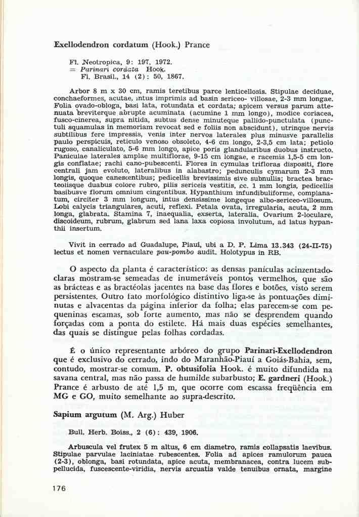 Exellodendron cordatum (Hook.) Prance Fl. Keotropica, 9: 197, 1972. = Parinari cordata Hook. Fl. Brasil., 14 (2) : 50, 1867. Arbor 8 m x 30 cm, ramis teretibus parce lenticellosis.