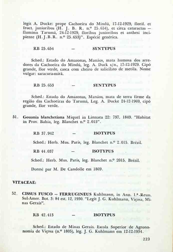 legit A. Ducke: prope Cachoeira do Mindú, 17-12-1929, florif. et fruct. junioribus (H. J. B. R. n. 25.