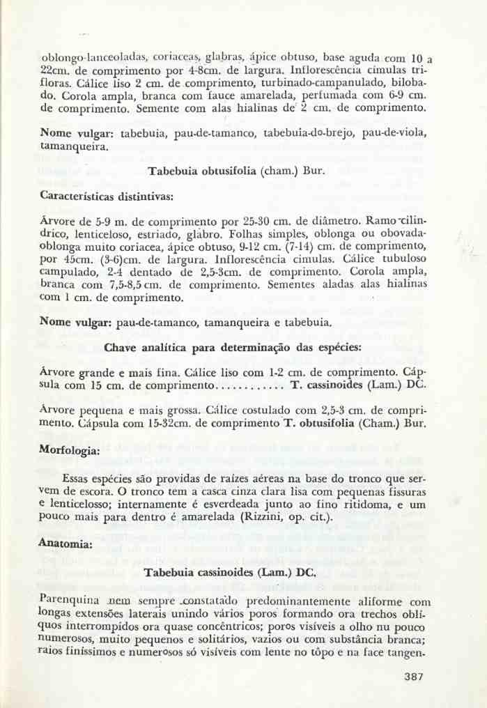 oblongo lanceoladas, coriaceas, glabras, ápice obtuso, base aguda com 10 a 22cm. de comprimento por 4-8cm. de largura. Inflorescência címulas trifloras. Cálice liso 2 cm.